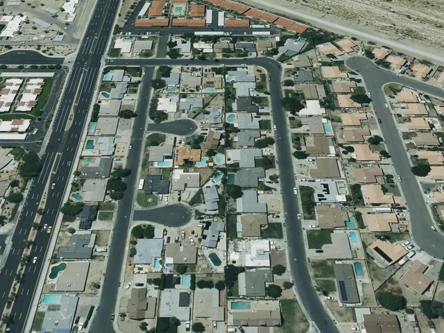 Chateau Palms — photo 9