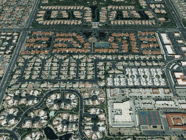 Colony Cove — photo 15