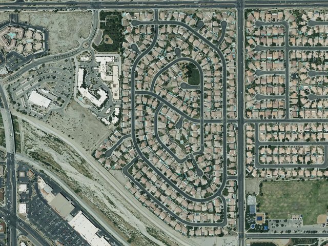 Desert Pride — photo 16