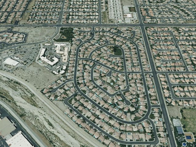 Desert Pride — photo 17
