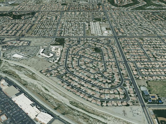 Desert Pride — photo 18