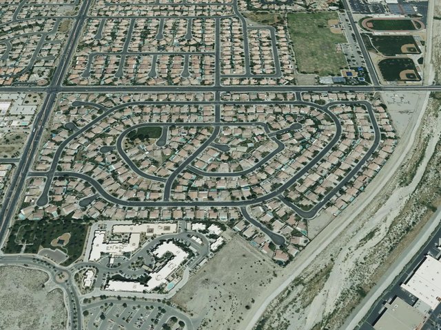 Desert Pride — photo 19