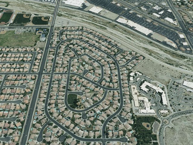Desert Pride — photo 20
