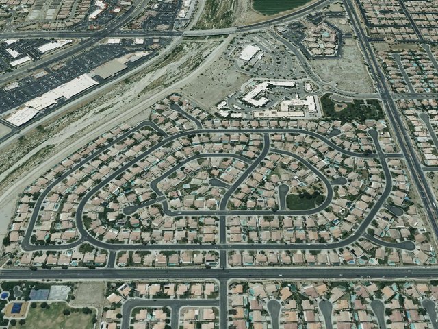 Desert Pride — photo 21