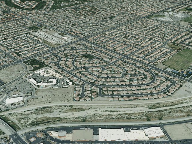 Desert Pride — photo 14