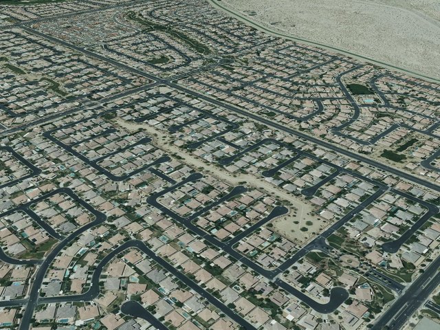 Desert Trace — photo 19