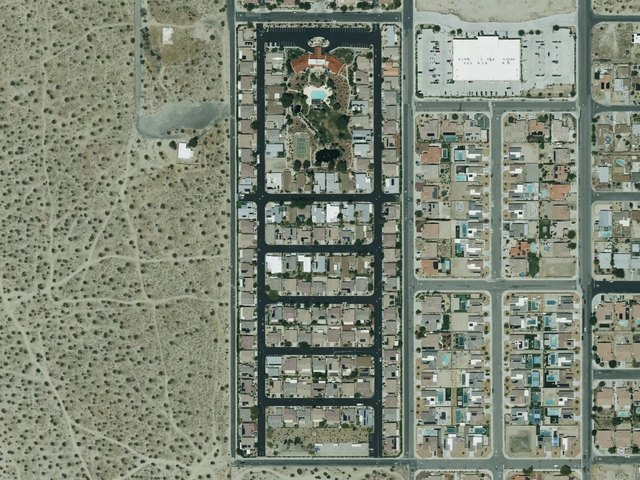 Desert Willow — photo 21