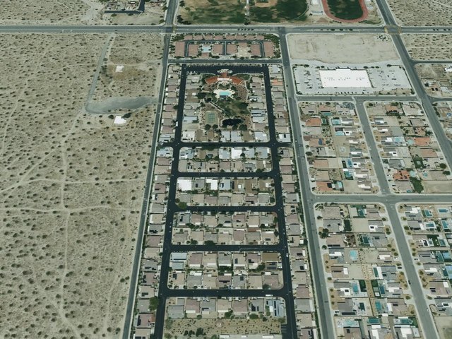 Desert Willow — photo 22