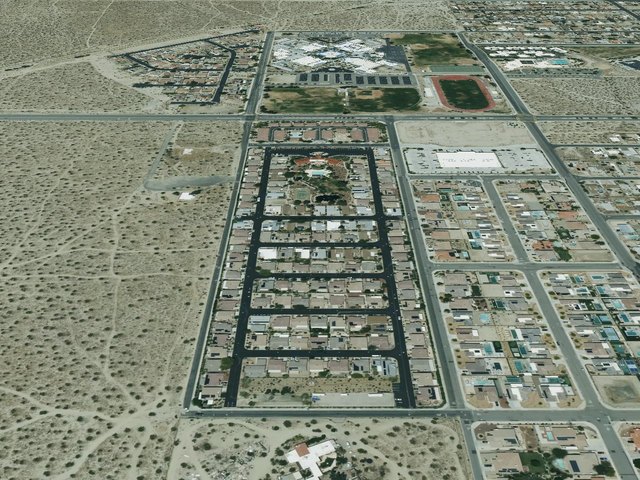 Desert Willow — photo 23