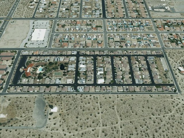 Desert Willow — photo 24