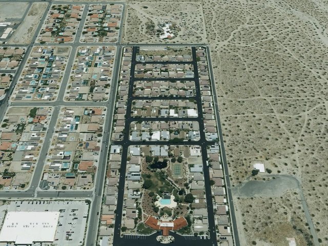 Desert Willow — photo 25