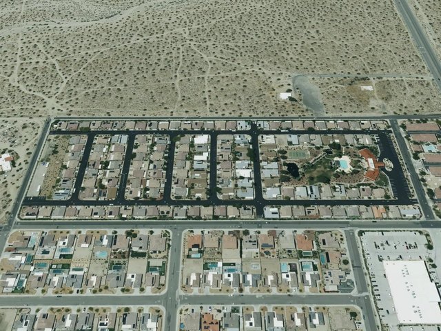 Desert Willow — photo 26