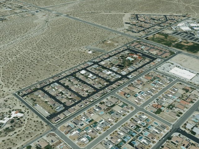 Desert Willow — photo 20