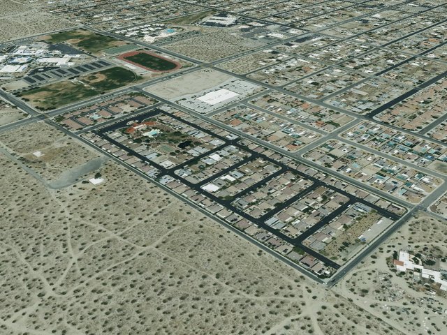 Desert Willow — photo 19