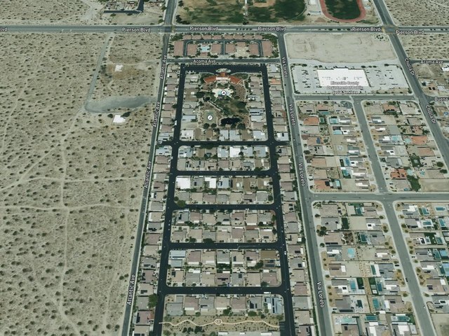Desert Willow — photo 18