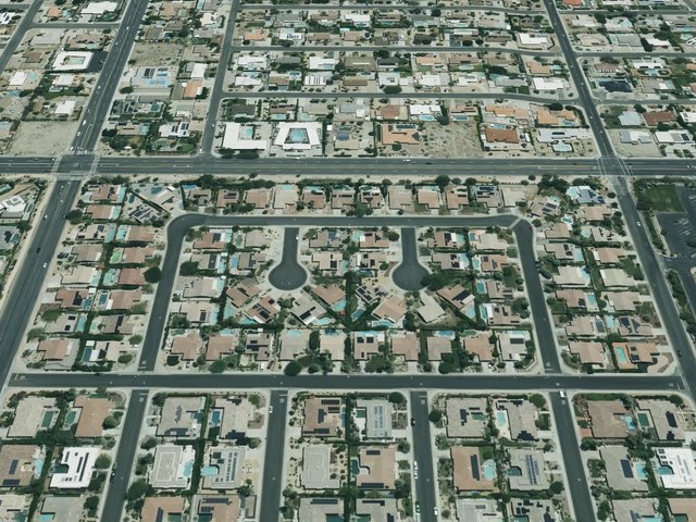 Flora Vista — photo 12