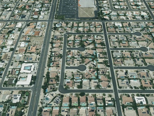 Flora Vista — photo 13