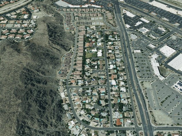 Highland Palms — photo 13