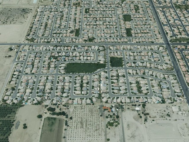 La Paloma Estates — photo 19
