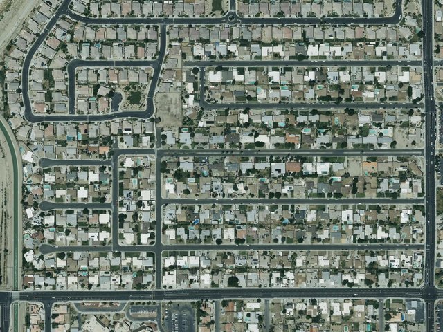 Oasis Palms — photo 11
