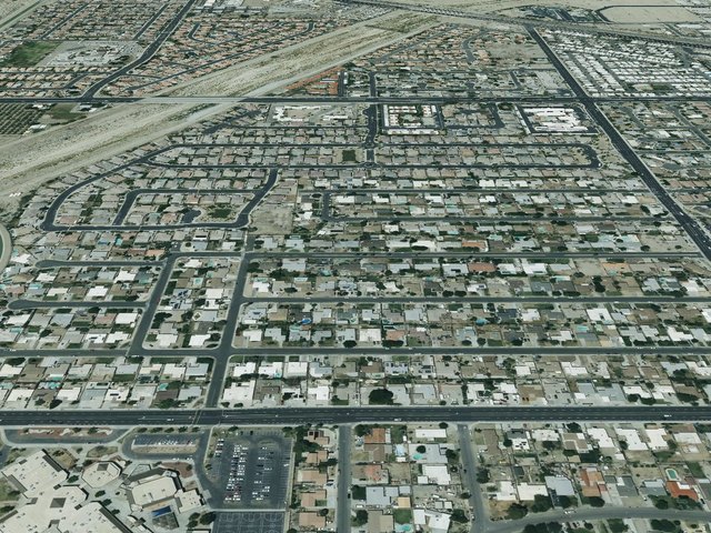 Oasis Palms — photo 13