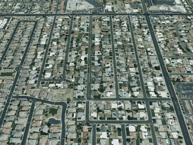 Oasis Palms — photo 14