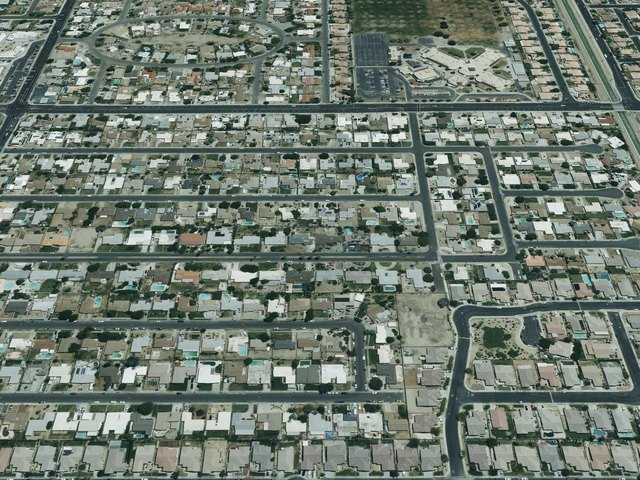 Oasis Palms — photo 15