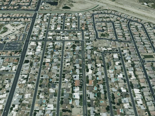 Oasis Palms — photo 16