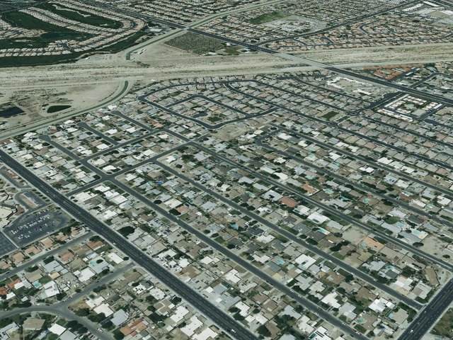 Oasis Palms — photo 10