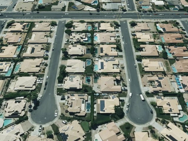 Palm Gate — photo 9