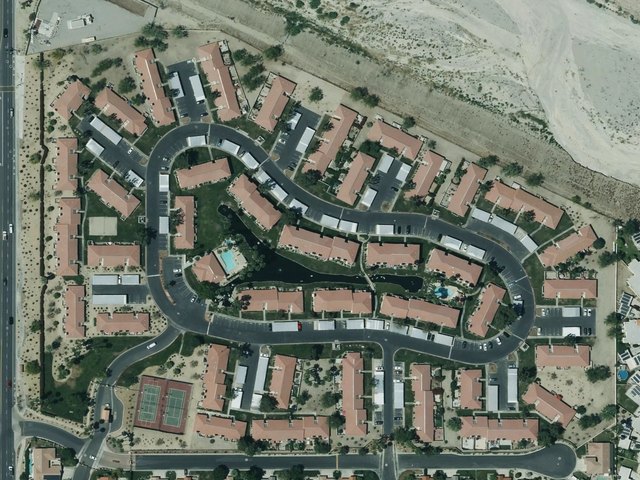 Palm Lake — photo 46