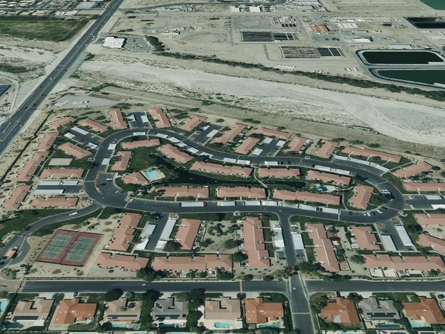 Palm Lake — photo 48