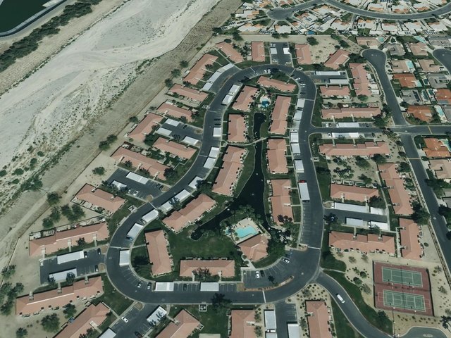 Palm Lake — photo 49