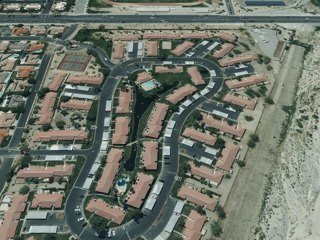 Palm Lake — photo 51