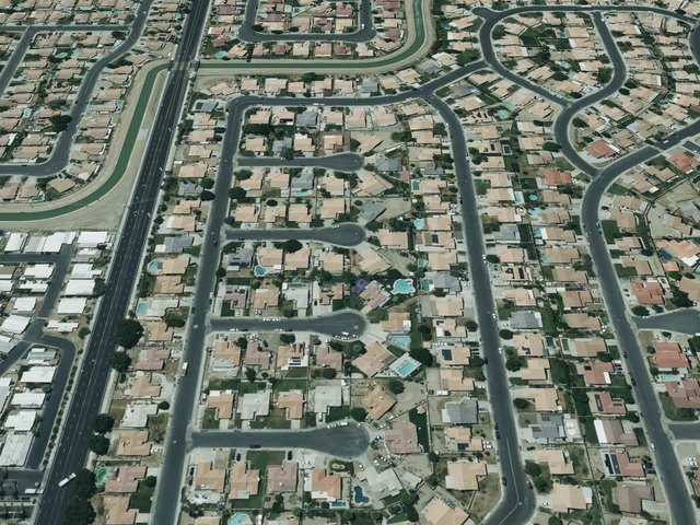 Palm Meadows — photo 11