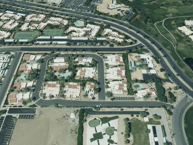 Palm Oasis — photo 9