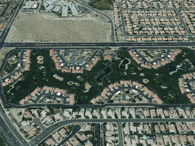 Palm Royale — photo 54