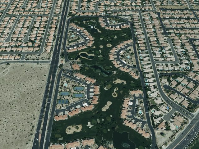 Palm Royale — photo 56