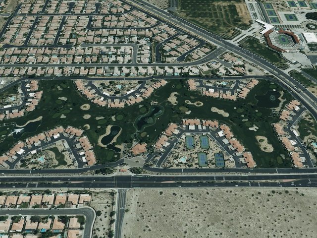 Palm Royale — photo 57
