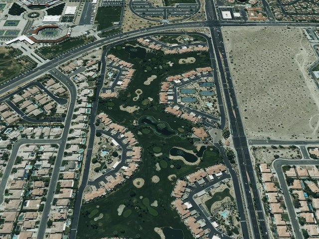 Palm Royale — photo 58