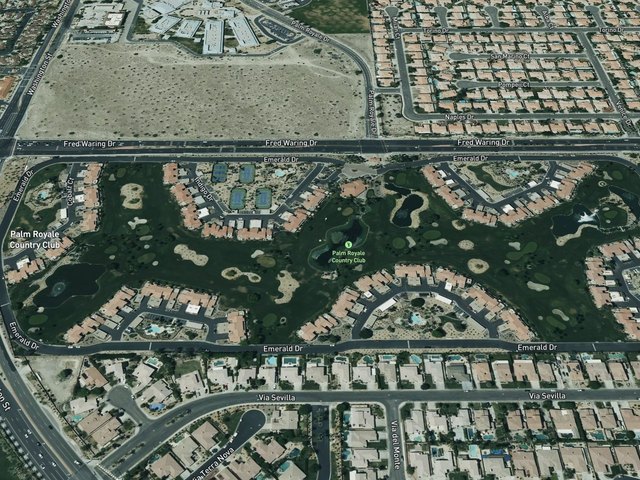 Palm Royale — photo 50