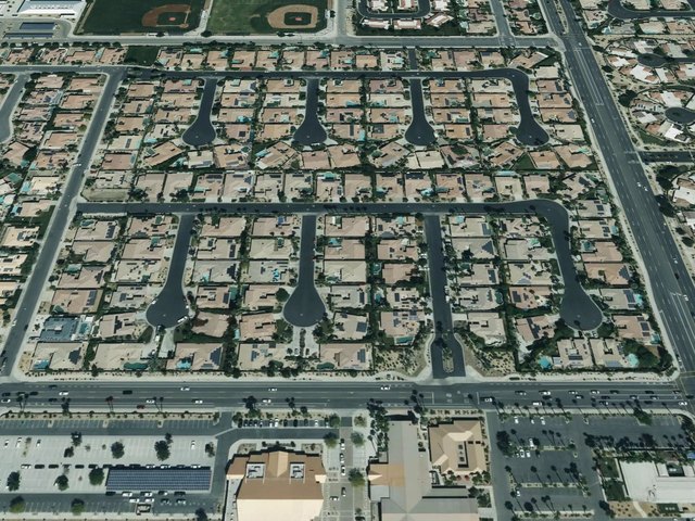 Palmira — photo 12
