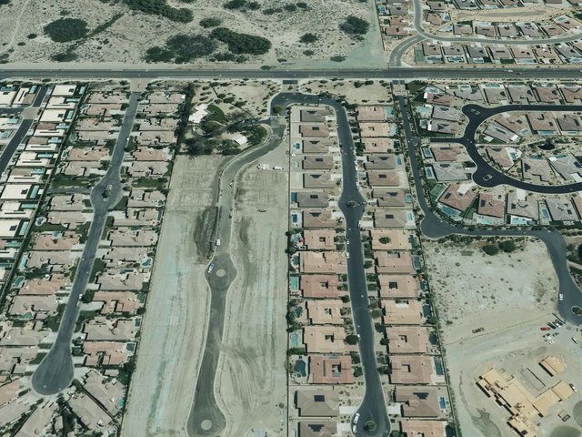 Palo Verde — photo 13