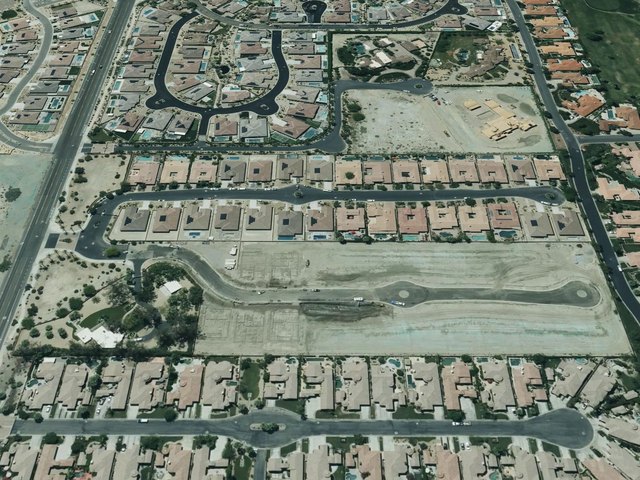 Palo Verde — photo 14