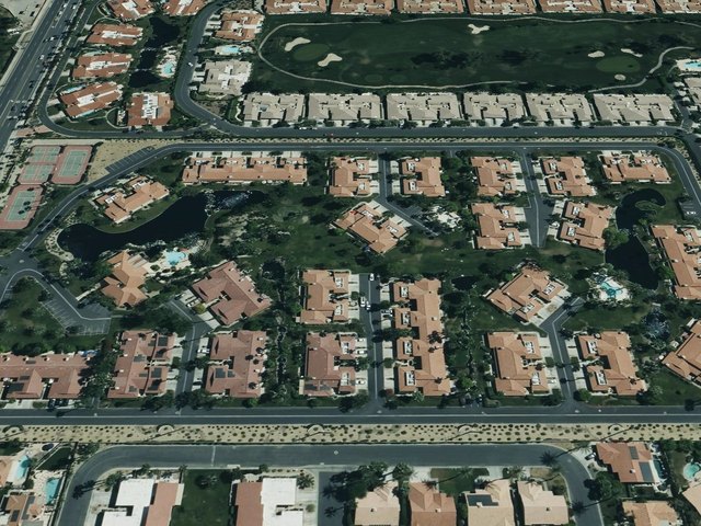 Park Palms — photo 9