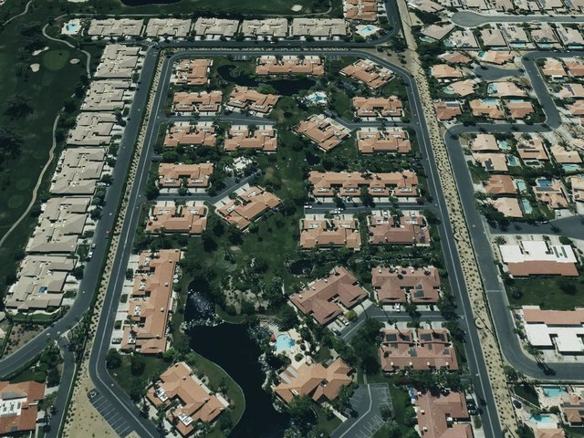 Park Palms — photo 10