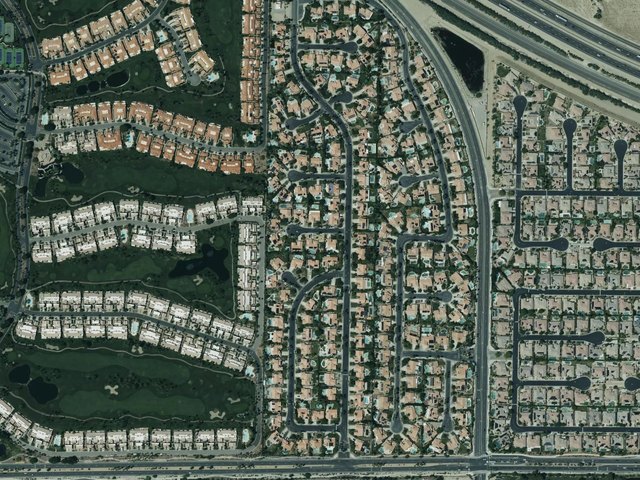 Regency Palms — photo 13