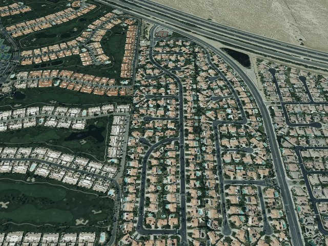 Regency Palms — photo 14