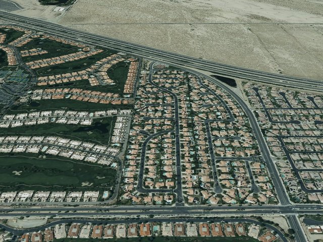 Regency Palms — photo 15