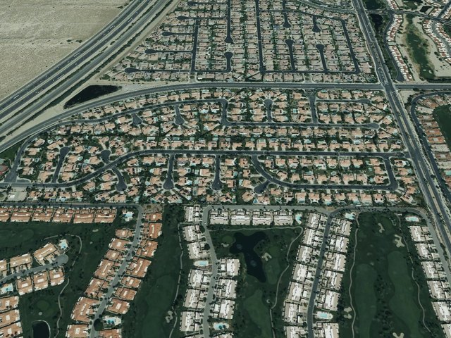 Regency Palms — photo 16